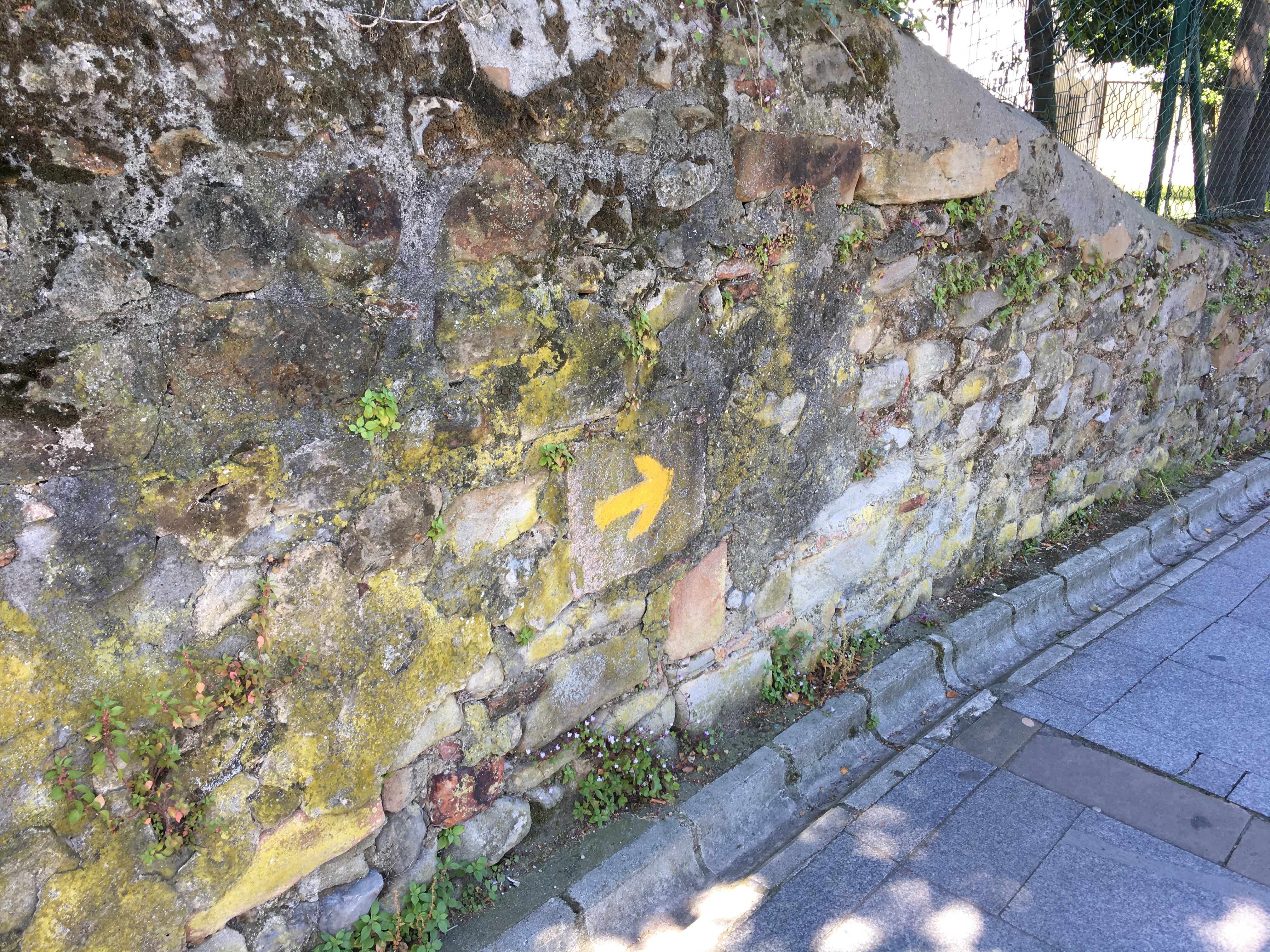 7692EB83-1AA5-499D-AE9B-A64B6A5678C8