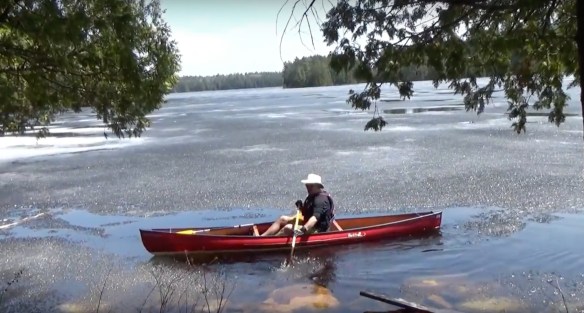 Screen Shot 2018-07-07 at 2.29.00 PM