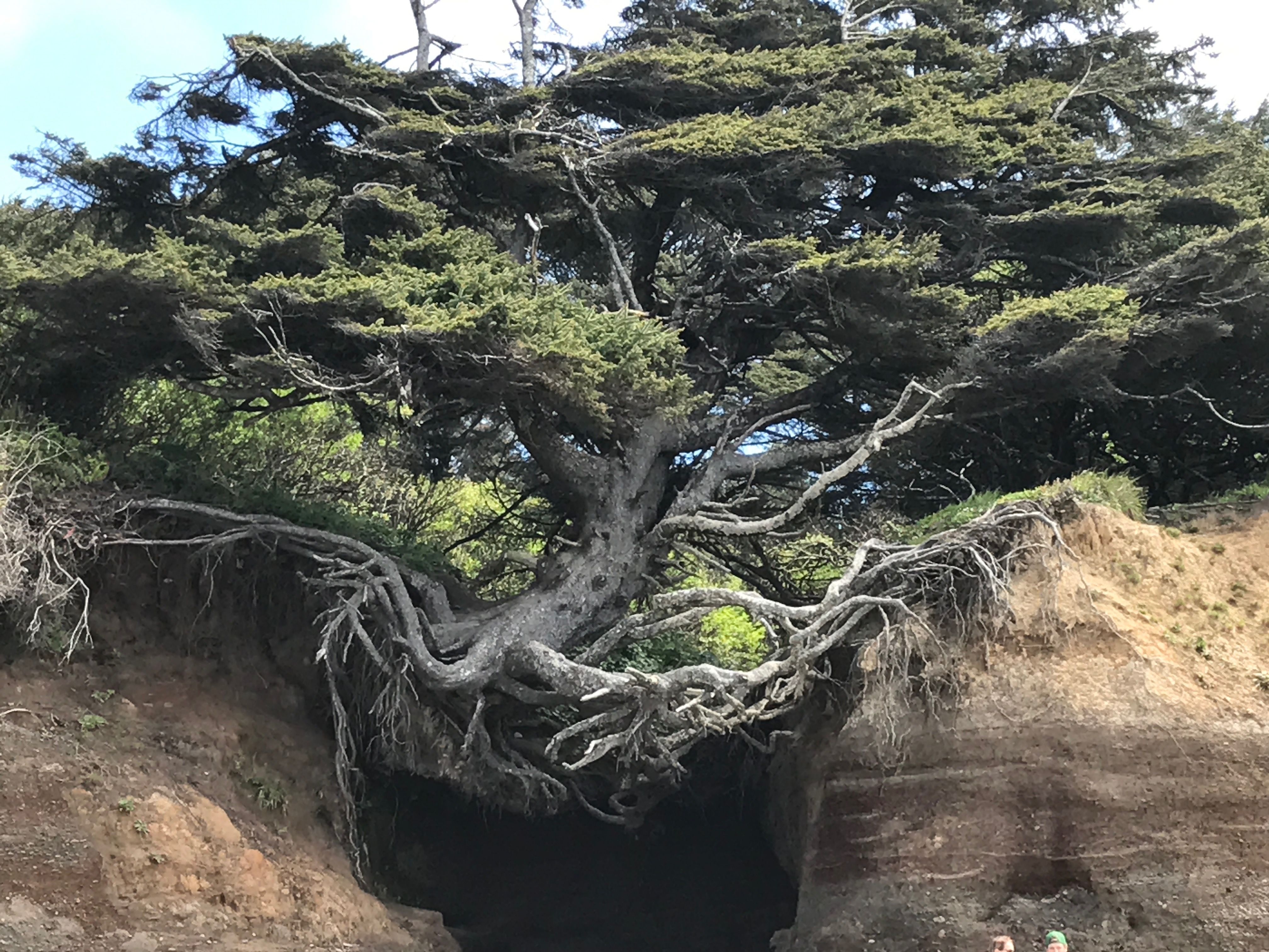 69c053a6a3c63493189b8bdda3d7943d