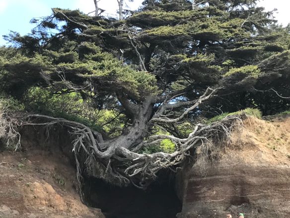 69c053a6a3c63493189b8bdda3d7943d